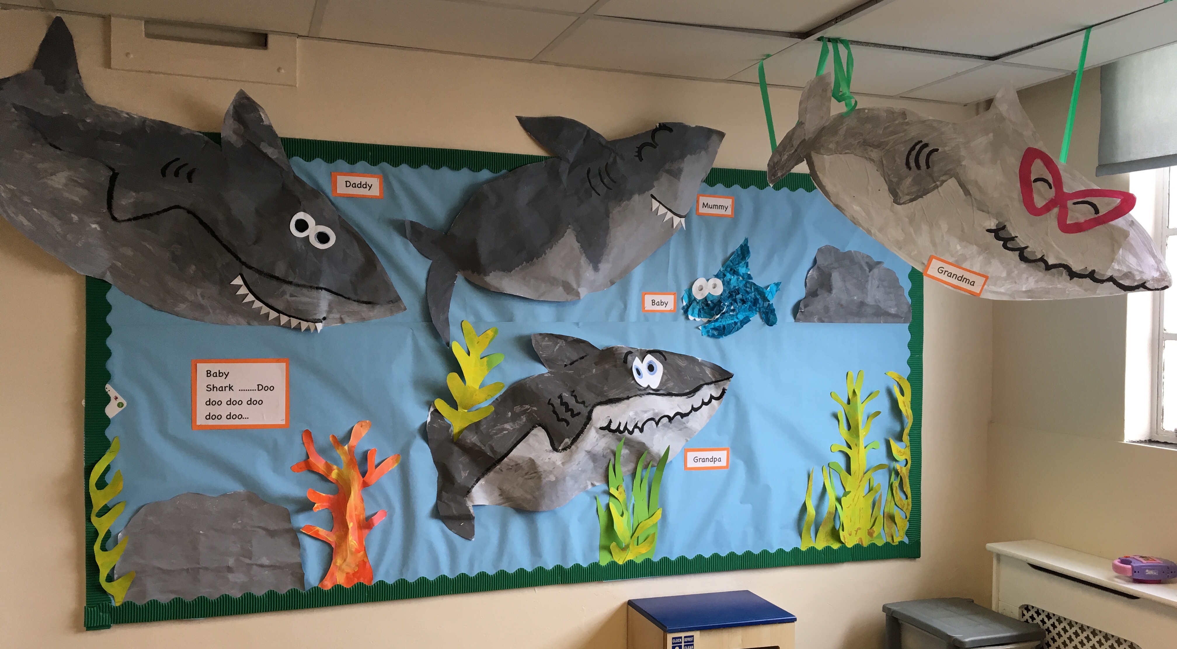 Sharks Display